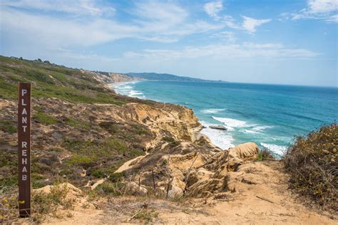 Torrey Pines State Reserve | Hiking Info California Beach, California ...