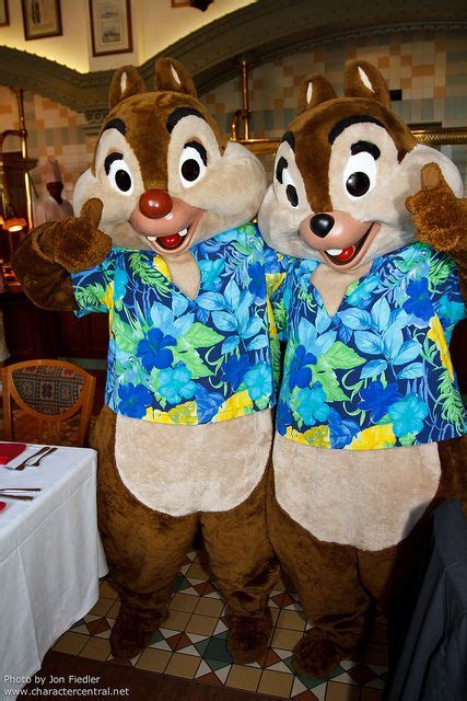 45 Disney: Chip & Dale costumes ideas | chip and dale, disney parks ...