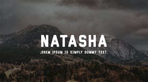 Natasha Font : Download Free for Desktop & Webfont