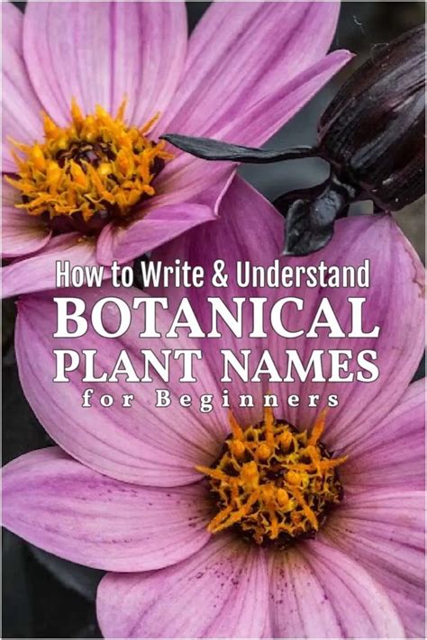 How to Write Botanical Plant Names (Tips For Gardeners)