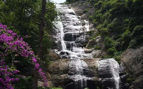 13 Stunning Waterfalls in Kodaikanal You Must Visit (2023)