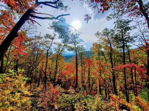 A Bike Ride To The Most Stunning Fall Foliage In South Carolina