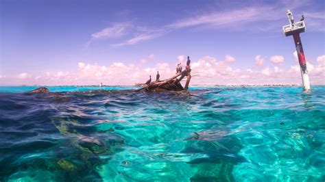 Snorkeling at Isla Mujeres - Underwater Mexico