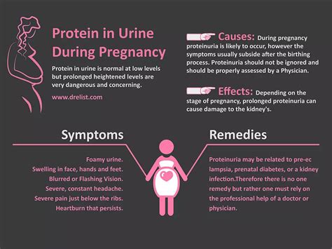 Leukocytes In Urine During Pregnancy: Causes And Treatment, 55% OFF