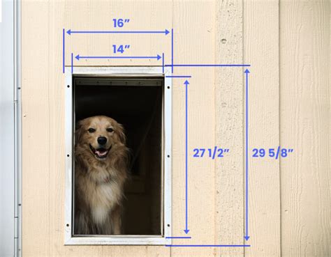 Dog Door Sizes (Dimensions & Measurement Guide)