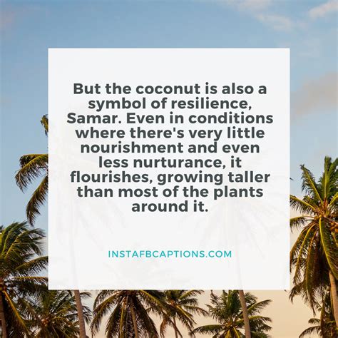 57 Coconut Captions and Quotes for Instagram in 2021 - Instafbcaptions