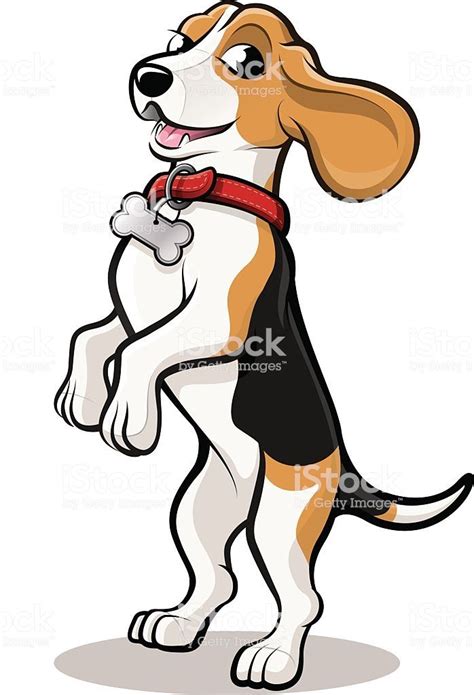 Vector Beagle Dog Cartoon standing on hind legs wearing bright red ...