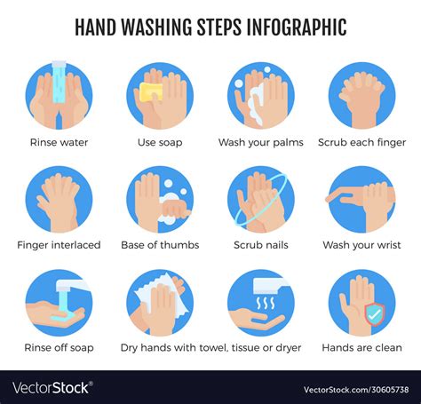 Hand washing steps infographic hand washing Vector Image