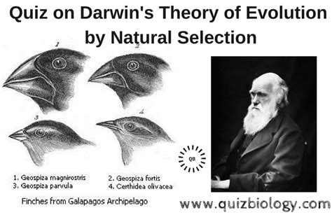 Quiz on Darwin's Theory of Evolution by Natural Selection