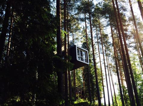 Treehotel Review - | A Hotel Life