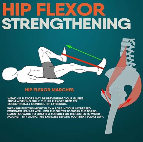 HIP FLEXOR STRENGTHENING | GUIDE