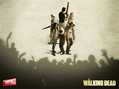 The Walking Dead - The Walking Dead Wallpaper (25862323) - Fanpop