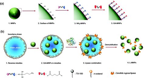 Nanomaterials: a review of synthesis methods, properties, recent ...