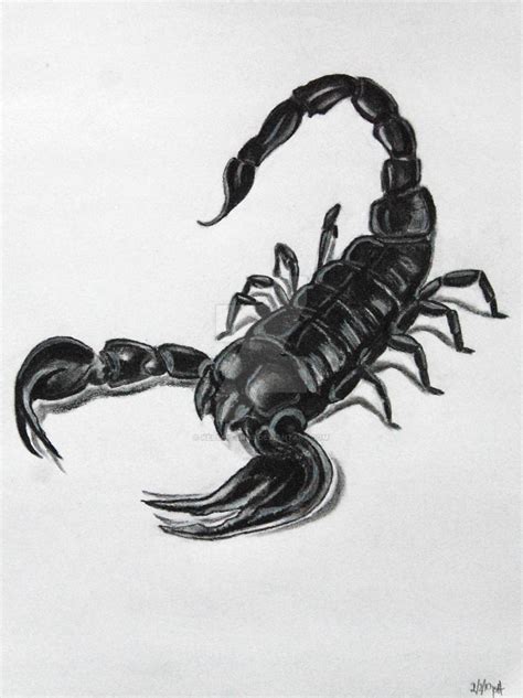 Scorpion tattoo drawing by Kelsey-Anne on DeviantArt