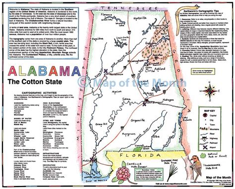 Alabama map - Blank outline map, 16 by 20 inches, activities included