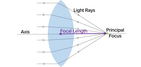 Lenses Worksheets, Questions and Revision | MME