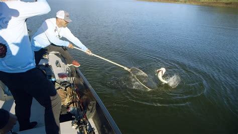 A Fishing Story with Ronnie Green - Huge Bass catch in Lake Baccarac