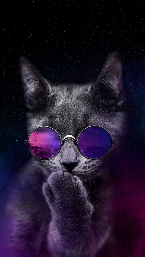 Space Cat IPhone Wallpaper - IPhone Wallpapers : iPhone Wallpapers | Space cat, Heart iphone ...