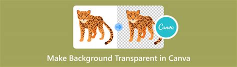 How to Make Background Transparent in Canva [Easiest Guide]