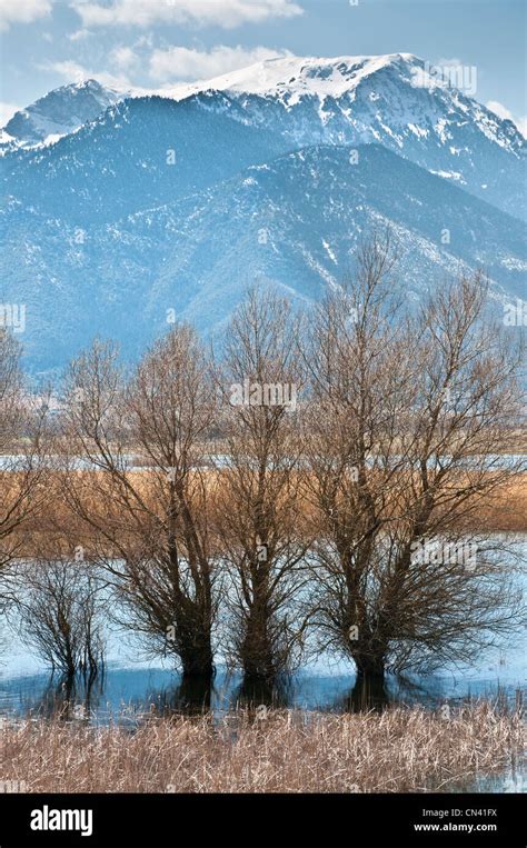 The Stymphalian Lake in Spring flood, in southern Korinthia ...