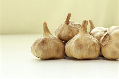 Aged Garlic Extract | Natural Living Center