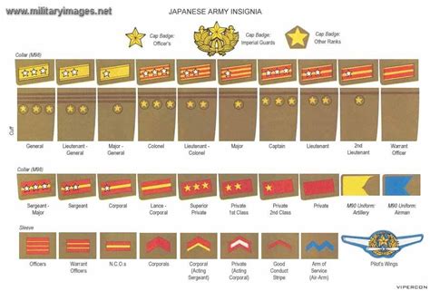 japanese military ranks.jpg | Rank Insignia - WWII | Pinterest | Army ranks and Imperial ...