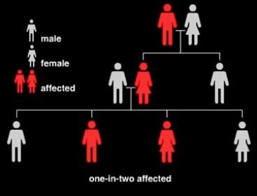 How is achondroplasia inherited? - Dwarfism