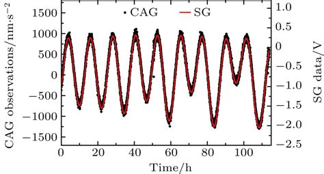 Calibration of the superconducting gravimeter based on a cold atom absolute gravimeter at NIM