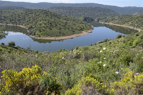 Monfragüe National Park - Tagus (3) | Monfragüe | Pictures | Spain in Global-Geography