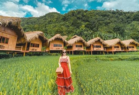 Top 8 Hoang Su Phi Homestays Attracting All Ha Giang Tourists