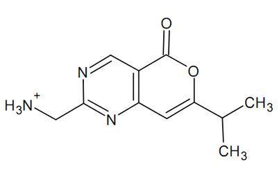 Draw any molecule and dock it flexibly to any protein with coordinates known