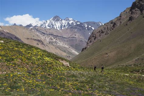 La cámara redescubierta del alpinista Janet Johnson ilumina la fatal expedición al Monte Aconcagua