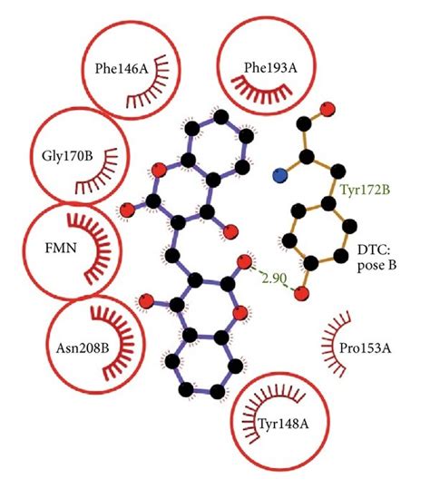 Docked orientations and interactions of dicoumarol in the enzyme ...