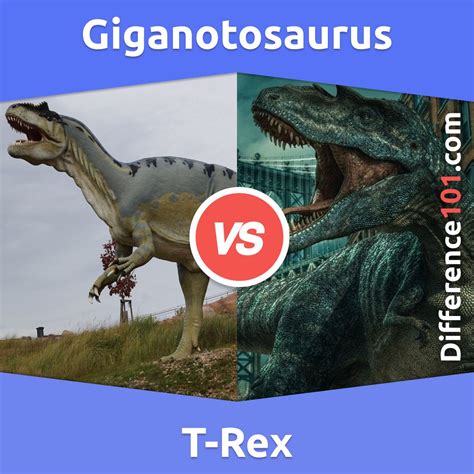 Giganotosaurus vs. T-Rex: Understanding the Differences