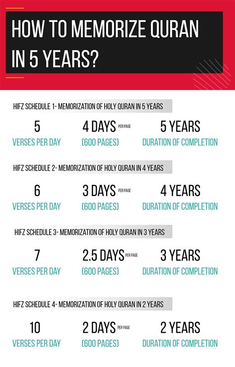 8 Quran Memorization Schedules | Hifz Planner