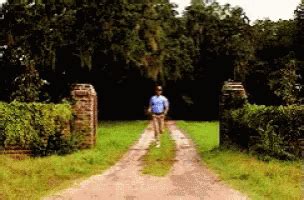 Forrest Gump Running GIF - Forrest Gump Running - Discover & Share GIFs