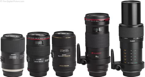 What Is a Macro Lens?