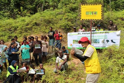 PT Papua Agro Lestari Kampanye Pelestarian Lingkungan di Kampung Guiss | Surya Papua