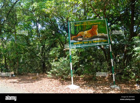 Wildlife Sanctuaries In Kerala With Districts : At here, there are availability of good hotels ...