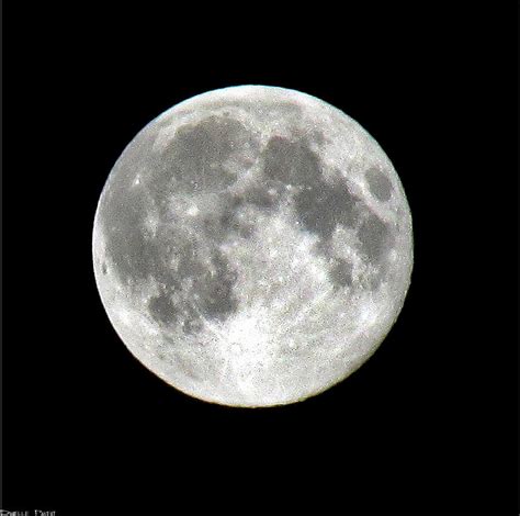 Full Moon In Black And White Photograph by Danielle Parent - Pixels