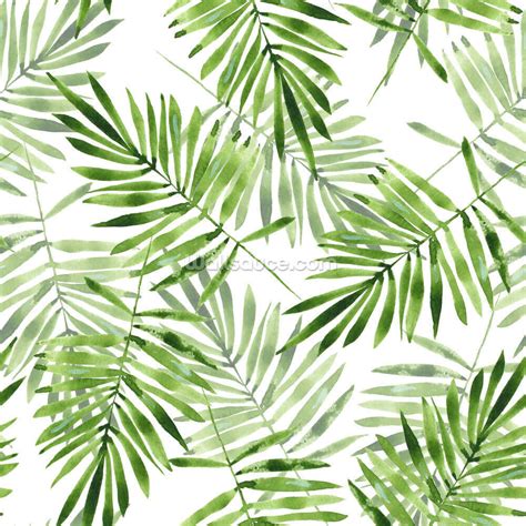 Green Palms Wallpaper | Wallsauce US