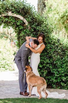 This Couples Pup Stole the Show on Their Wedding Day – The Photege – Bridal Musings – The Manor ...