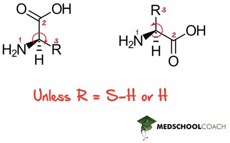 Amino Acid Configuration and Structure – MCAT Biochemistry | MedSchoolCoach