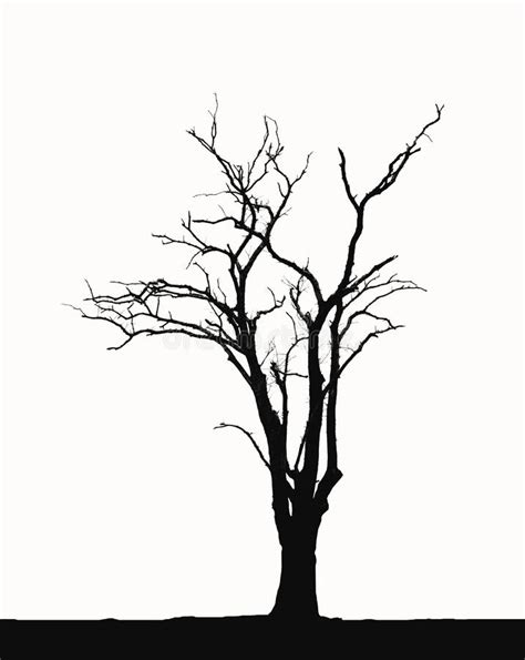 Silhouette Leafless trees stock illustration. Illustration of death ...