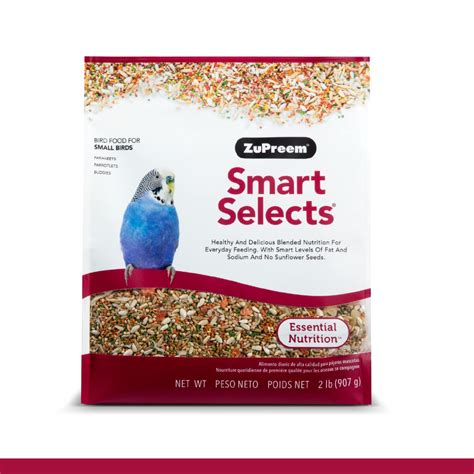 10 Best Parrotlet Bird Seed for Optimal Health and Nutrition - Hummingbirds Plus