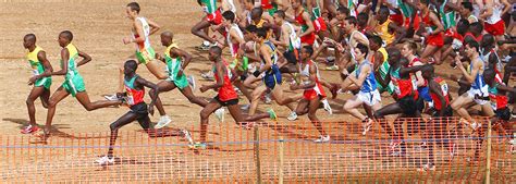 Countdown continues for cross country’s return to Olympic competition ...