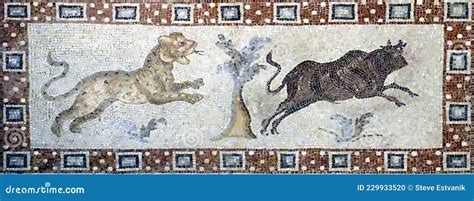 Wild Animals on Ancient Roman Mosaic Floor Editorial Image - Image of ...