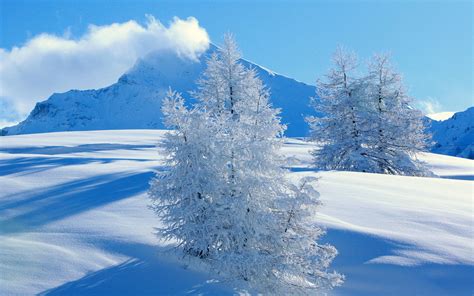 Site not found · DreamHost | Snow landscape, Winter landscape photography, Landscape wallpaper