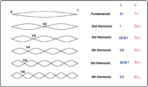 Vibrational modes of a plucked string of length l. The wavelengths and ...