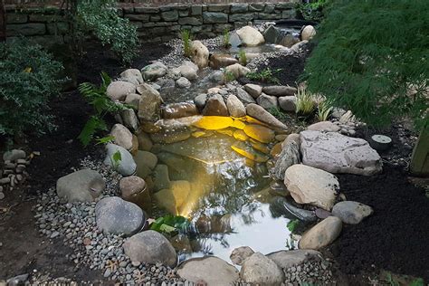 Koi Pond Upgrade Ideas | Aquatic Plants, Outdoor Fountains